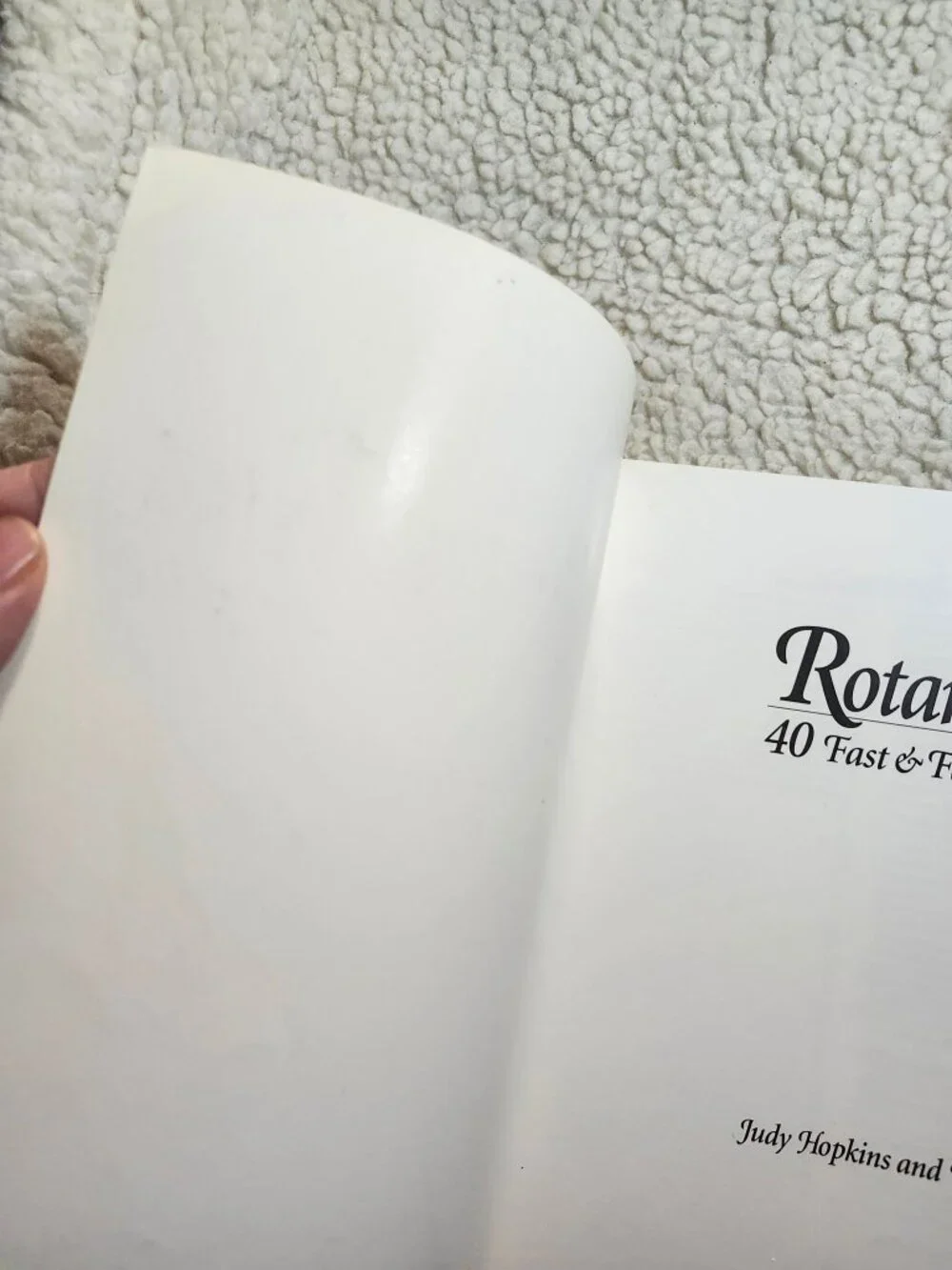 Rotary Riot 40 Fast & Fabulous Quilts Judy Hopkins Nancy J Martin Softcover - Picture 5 of 14